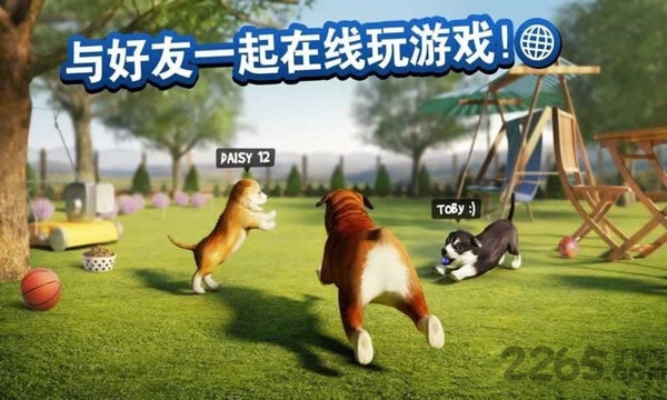 天天小狗 天天小狗游戏免费下载