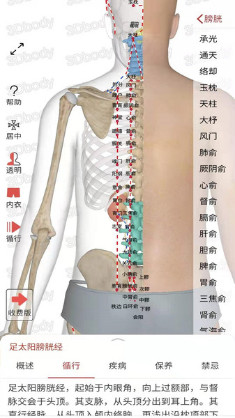 3d经络穴位app(中济经络穴位)