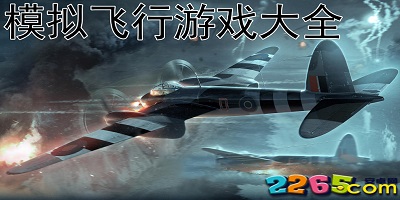 模拟飞行游戏