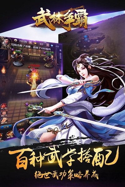武林争霸手游果盘版