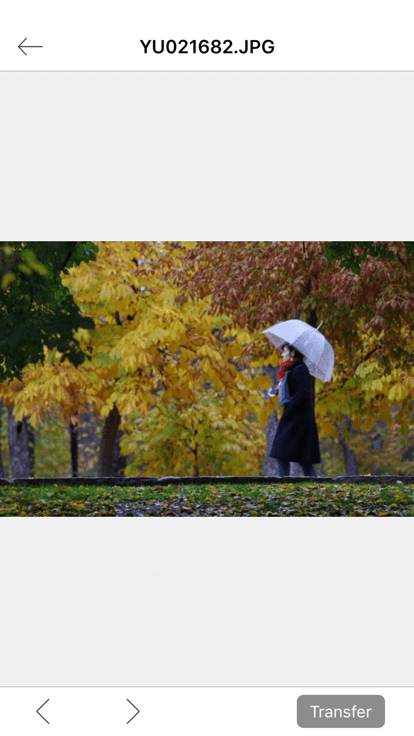 Image Sync手机版 Image Sync中文版下载