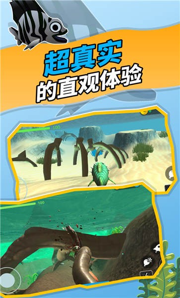 神秘海域手机版