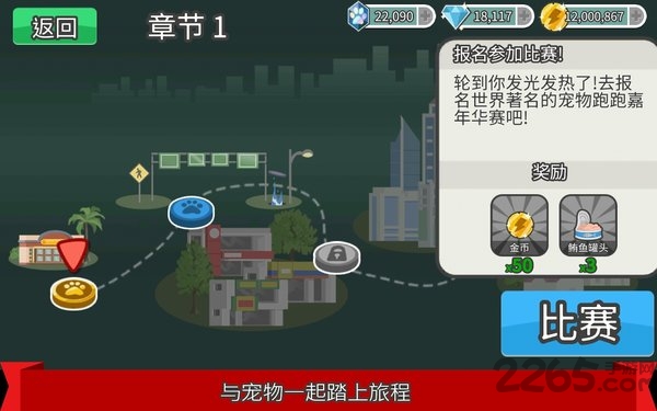 pets race游戏(宠物赛跑)