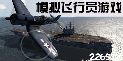 模拟飞行员游戏