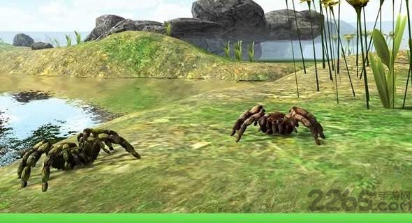 蜘蛛模拟器修改版