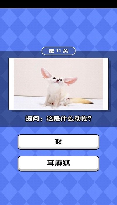 动物滑滑乐手机版