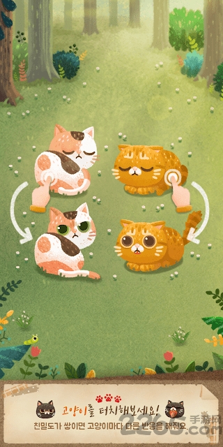 猫和秘密之森官方版