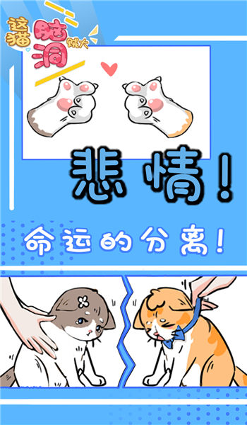 这猫脑洞贼大手机版