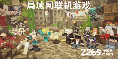 局域网联机游戏