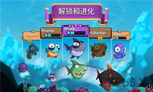 吃鱼大作战游戏
