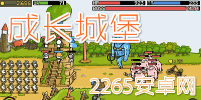 成长城堡