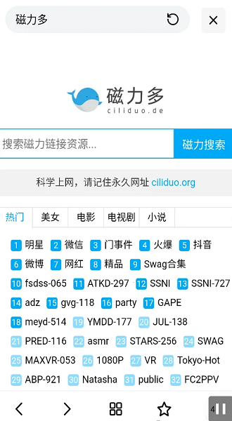 超强磁力搜索软件