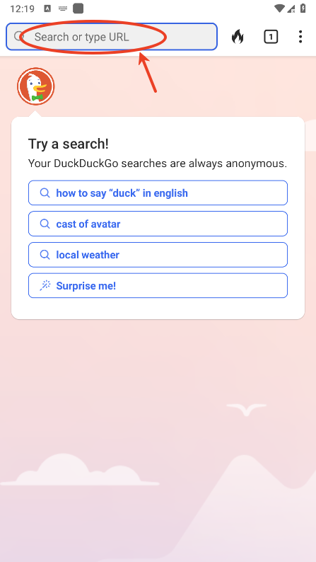 duckduckgo使用教程
