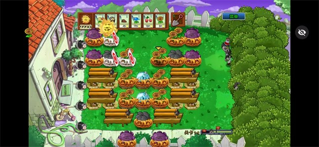 植物大战僵尸Ikun大战黑子版