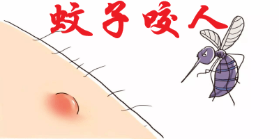 蚊子咬人游戏