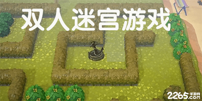 双人迷宫游戏