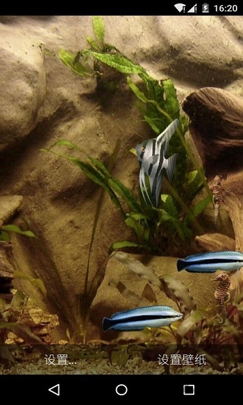 水族馆动态壁纸中文版 动态水族壁纸软件下载