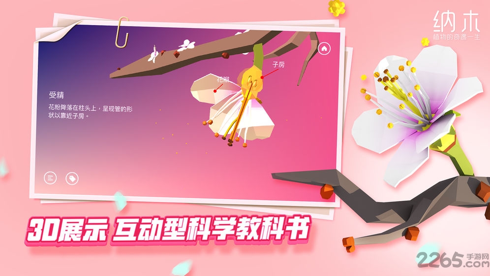 纳木官方版