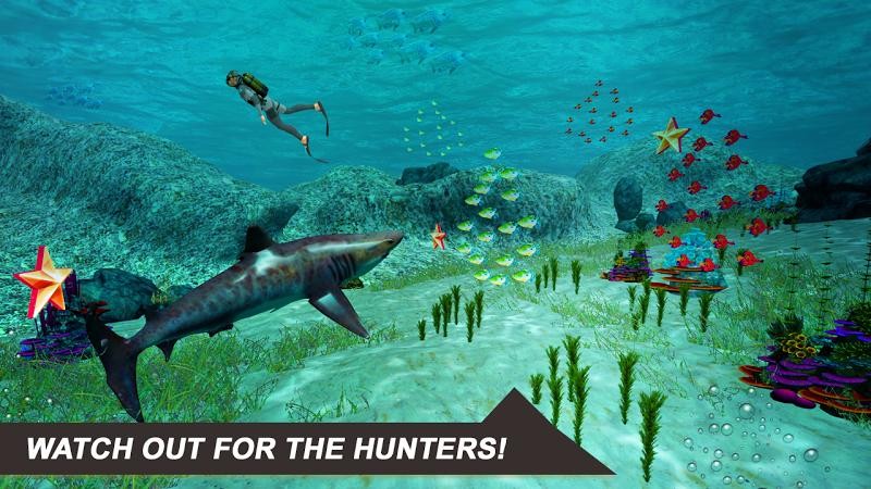 大白鲨模拟器shark sim
