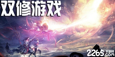 双修游戏