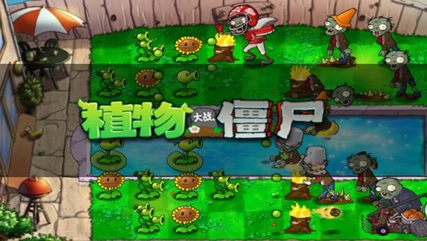 植物大战僵尸手表适配版