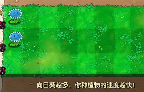 植物大战僵尸寒冰直装版 植物大战僵尸寒冰版本