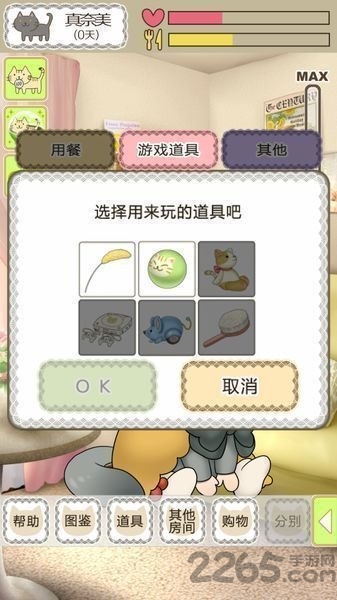 我家的不可思议猫咪游戏