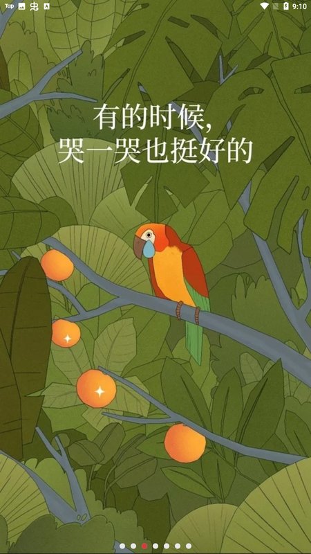 孤鸟游戏