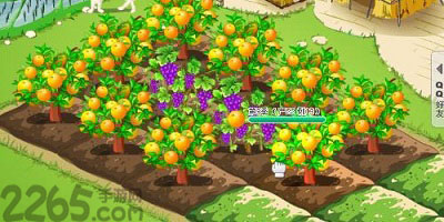 种植游戏
