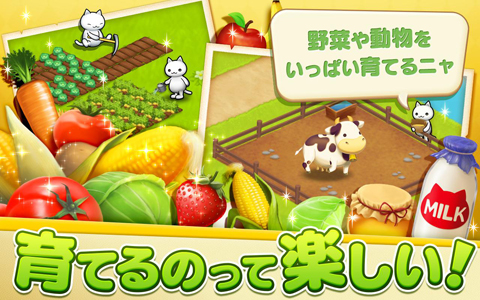 星星岛猫咪中文版