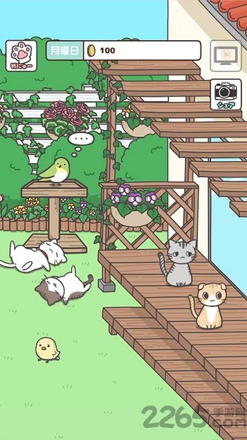 成为被饲养的猫正版游戏