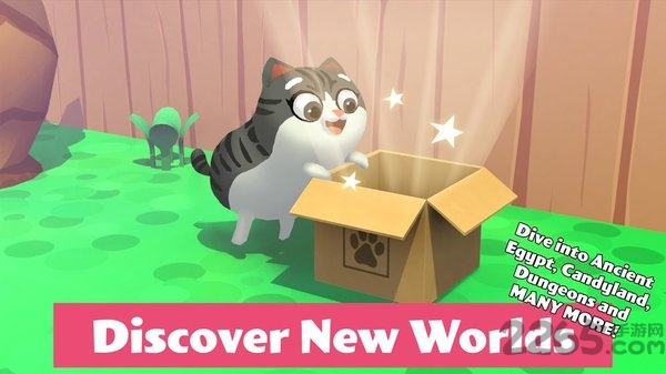 猫小盒2手机版