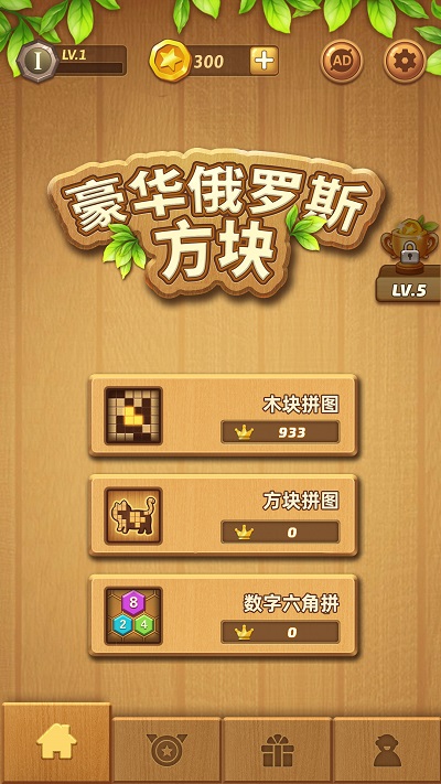豪华俄罗斯方块游戏