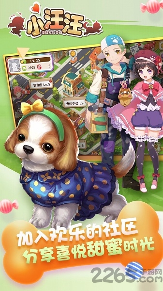 小汪汪果盘版