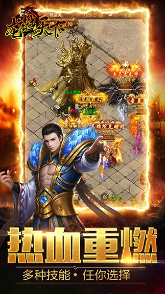 龙战天下果盘版