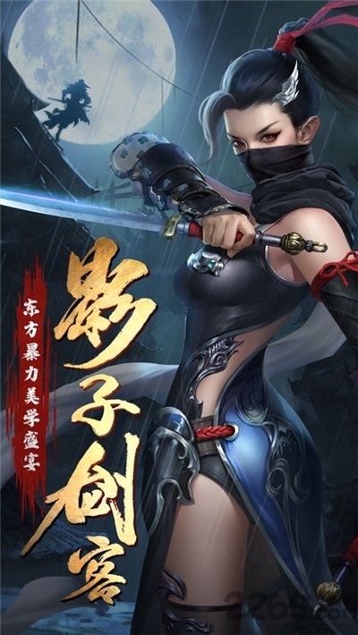 影子剑客游戏
