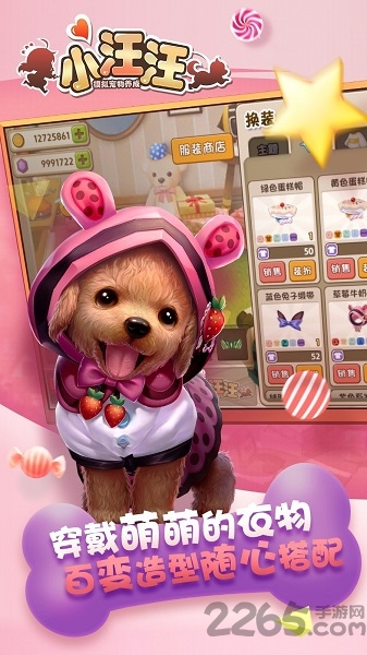 小汪汪果盘版