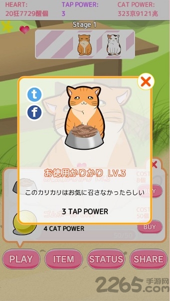 和猫猫玩耍最新版