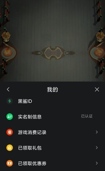 黑鲨宏软件 黑鲨宏功能下载