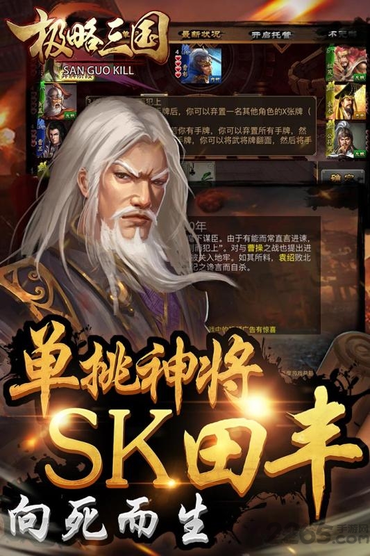 极略三国最新版本
