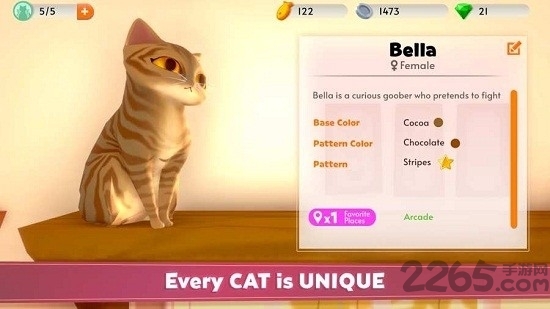 我的猫舍中文版(my cat club)