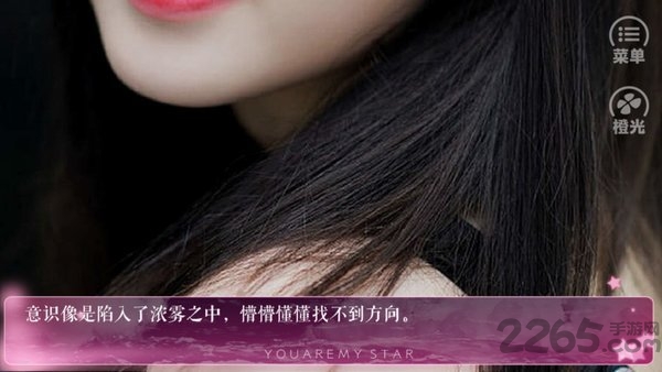 我爸是黑道老大破解版下载