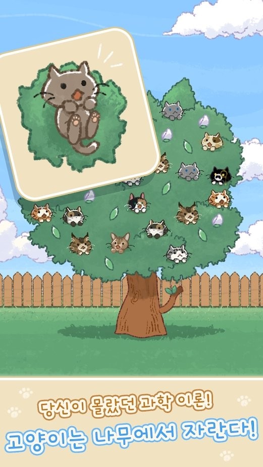 猫猫树手游
