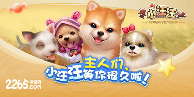小汪汪