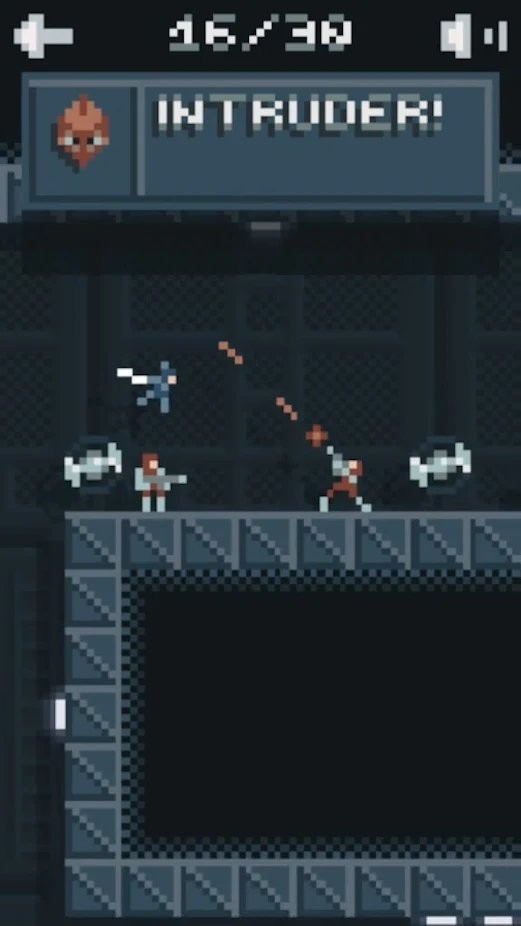 忍者袭击者游戏(ninja raider)