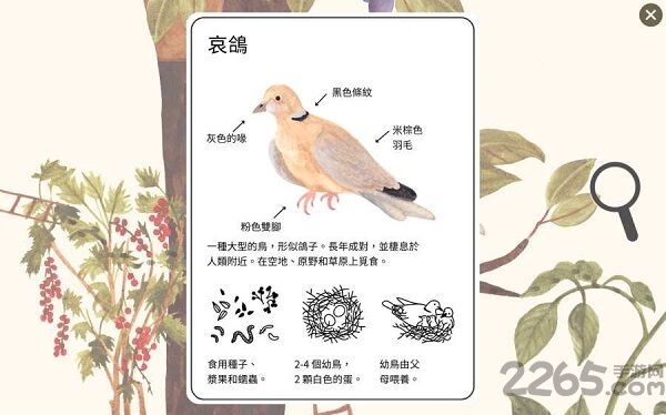 小棕鼠的自然生态百科最新版