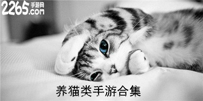 养猫游戏