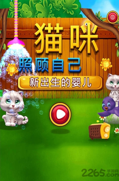 照顾小猫咪手机版