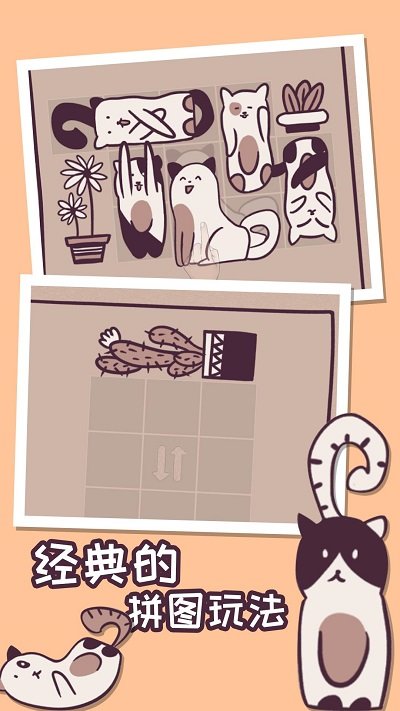 我的小猫贼好看手机版