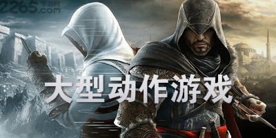 大型动作游戏